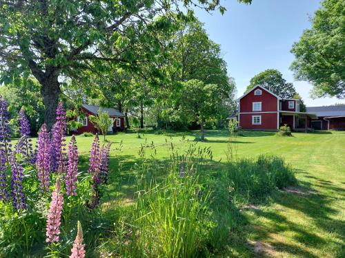 a red barn and a field with purple flowers at Apartment Gasstorp Wifi in Hova