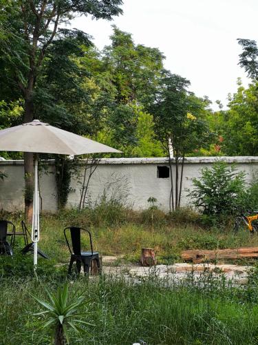 Zahrada ubytování Phaselis Park Camping