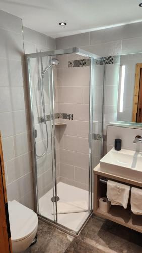 a bathroom with a shower and a toilet and a sink at Zum Eichhof in Reit im Winkl