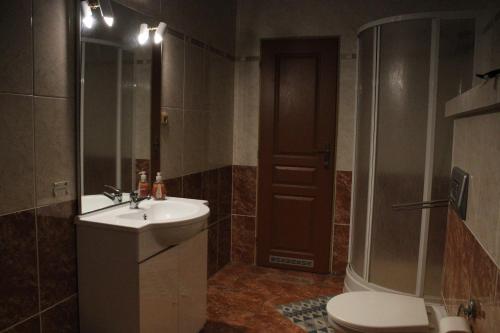 a bathroom with a sink and a shower and a toilet at Sporthotel Patriot in Litoměřice