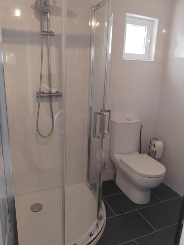 une salle de bain blanche avec toilettes et douche dans l'établissement Maison pétanque piscine 2 à 6 personnes, à Chevigny-en-Valière