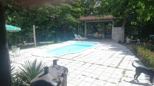 Un perro está parado junto a una piscina. en Cop30 -Sítio família, en Belém