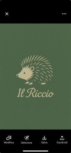 Riccioに飾ってある許可証、賞状、看板またはその他の書類