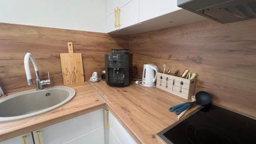 eine Küchentheke mit Spüle und Kaffeemaschine in der Unterkunft White house Paradise in Bihać