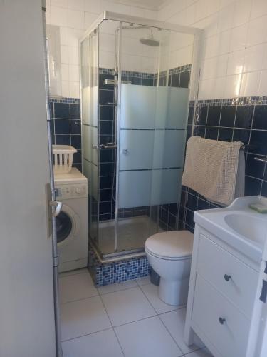une salle de bain avec une douche, des toilettes et un lavabo dans l'établissement Logement atypique centre ville, à Sainte-Maxime