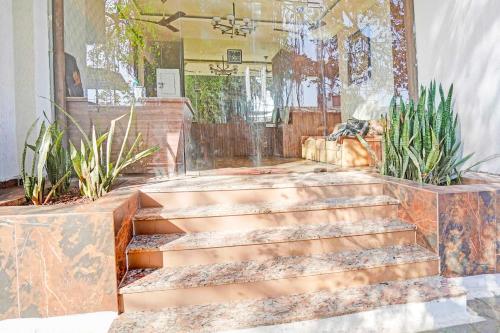 a set of stairs in a room with plants at Hotel O Arvind Marg Pachamarhi in Pachmarhī