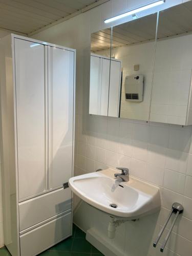 a white bathroom with a sink and a shower at Haus Ingrid in Mauerbach