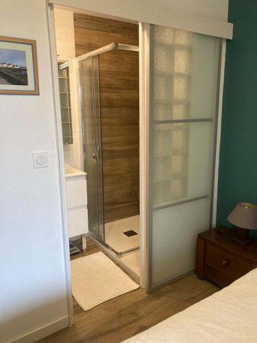 - une douche dans une chambre avec une porte en verre dans l'établissement Chez Thierry - appartement vue mer grande terrasse, à Saint-Aygulf