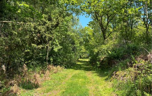 a dirt road through a forest with trees at Awesome Home In Sturkö With Sauna in Sturkö
