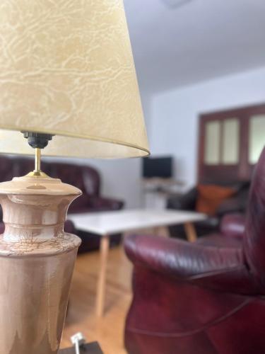 a lamp sitting on a table in a living room at Mirina village house in Pljevlja
