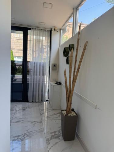 a hallway with a potted plant next to a door at AlenAr Hotel in Yerevan