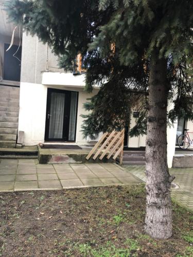 a tree in front of a house with a wooden gate at Studio Flat by the sea in Melnragė