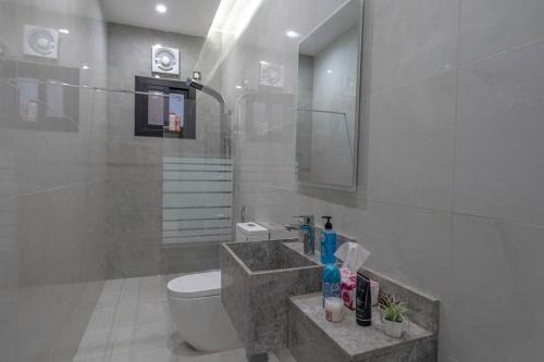 a bathroom with a toilet and a sink and a mirror at Alzahraa Studio in Jeddah
