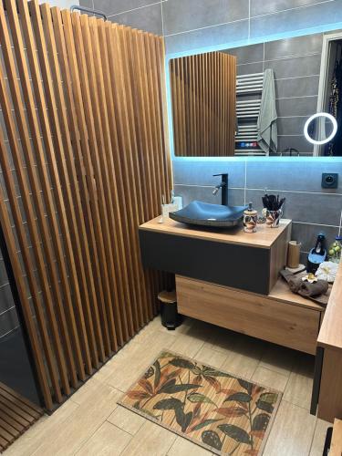 une salle de bain avec un lavabo et un miroir dans l'établissement Symphonie Sur Parc, à Hyères