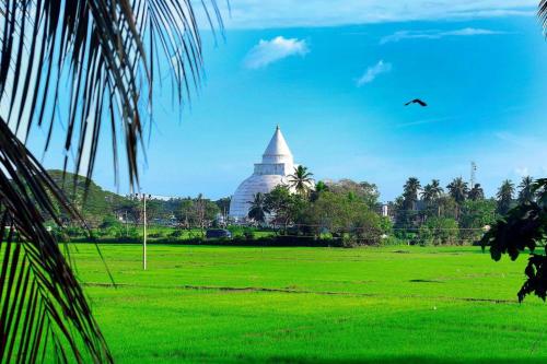 a bird flying over a green field with a building at Tissa Yala Lake View Hotel in Tissamaharama