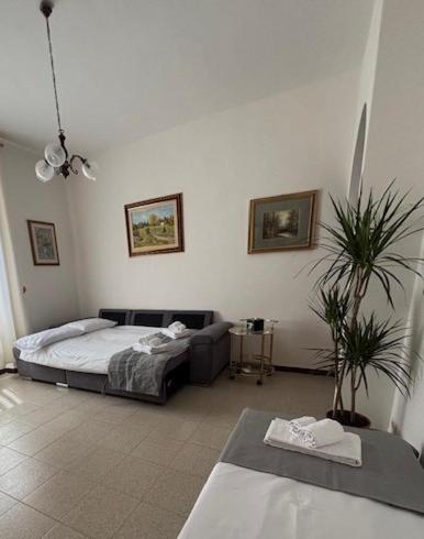 a bedroom with a bed and a plant in it at Lemon Garden Home in Rome