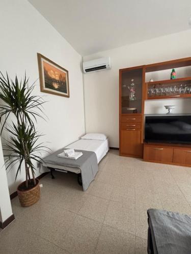 a room with a living room with a couch and a tv at Lemon Garden Home in Rome
