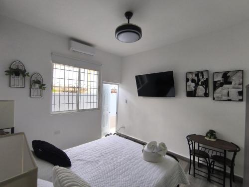 TV a/nebo společenská místnost v ubytování La casita de Gazcue