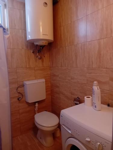 Foto dalla galleria di Sara apartments a Budua