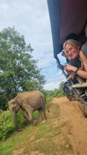 a woman in the back of a bus looking at a baby elephant at Traget safari home stay in Udawalawe
