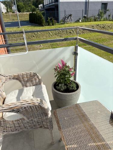 Balkón nebo terasa v ubytování Apartament Symsar