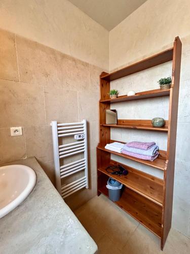 La salle de bains est pourvue d'un lavabo et d'un comptoir avec une étagère. dans l'établissement La maison de Nôtre Dame 6, à Aigaliers