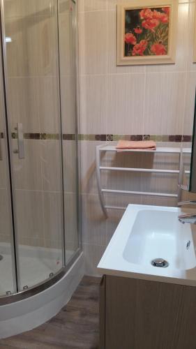 une salle de bain avec douche et lavabo dans l'établissement greoux eden 24, à Gréoux-les-Bains