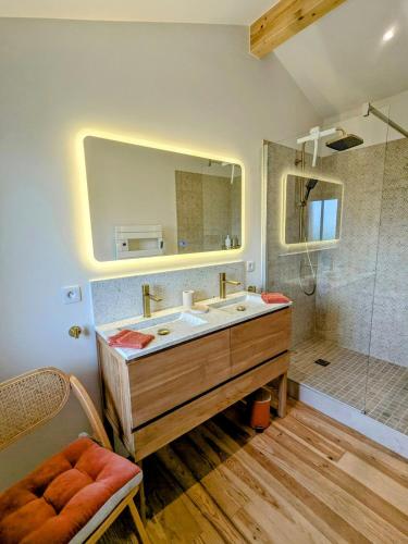 une salle de bain avec un lavabo, un miroir et une douche dans l'établissement La Rue Perdue - Gîte & Spa, à La Réole