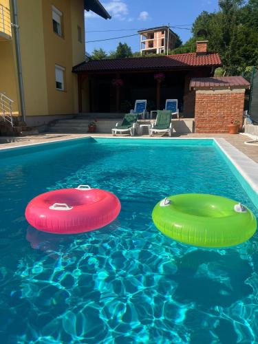 two frisbees in a swimming pool with a house at Holiday Homer Vila na Obali Vrbasa in Banja Luka