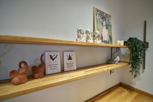 a shelf with books and figurines on it at Flora Handüzü Resort & Wellness Bungalow Hotel in Rize