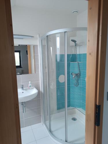 a bathroom with a shower and a sink at Penzion Púrynky in Velké Bílovice