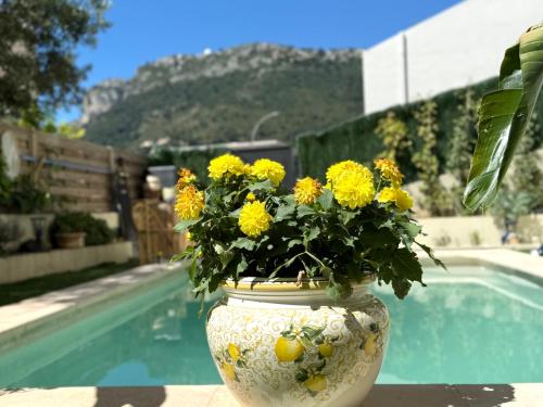 un vase rempli de fleurs jaunes à côté d'une piscine dans l'établissement Rare, private garden, 2bdr, Monaco border, à Beausoleil