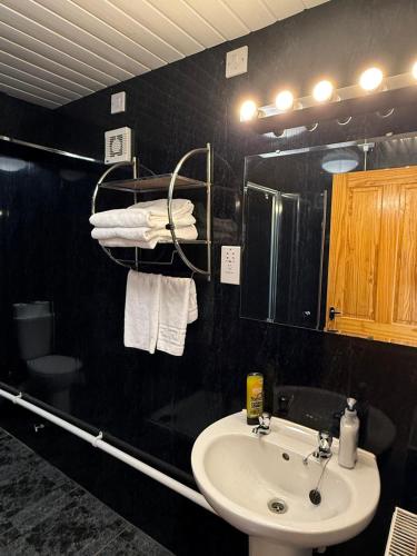 Bilik mandi di The Prince of Wales Inn - Tredegar