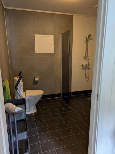 a bathroom with a toilet and a shower at Telemark Motel in Hauggrend