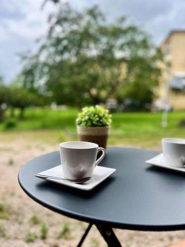 une table noire avec deux tasses et une plante dessus dans l'établissement Résidence Hôtelière du Magnoac, à Castelnau-Magnoac