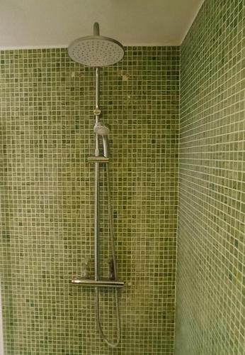 La salle de bains est pourvue d'une douche et de murs carrelés verts. dans l'établissement Cozy independent studio, à Roussillon