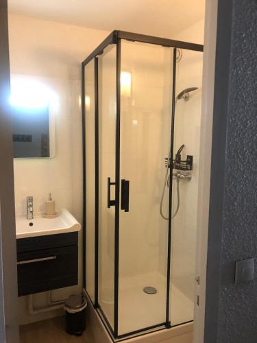 une salle de bain avec douche et lavabo dans l'établissement Studio 4 pers rénové, vue pistes - Les Orres 1650, à La Celle-sous-Gouzon