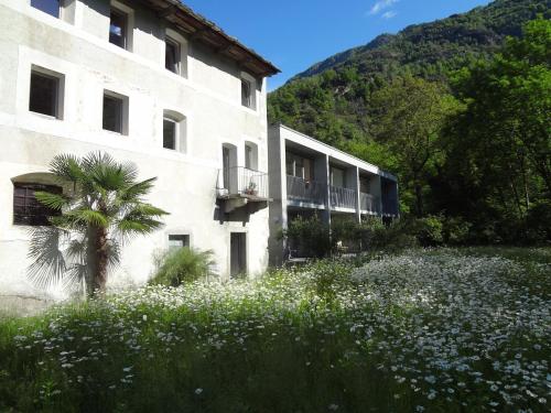 a building with a field of flowers in front of it at Casa Martinelli, Boutique-Hotel in Maggia