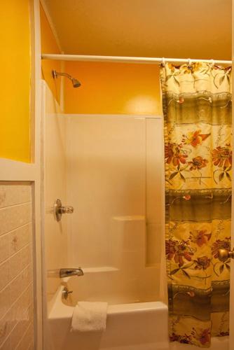 a bathroom with a shower with a shower curtain at Margaretville Motel in Margaretville