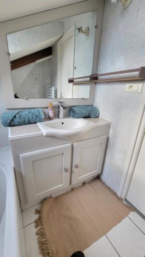 une salle de bain avec un lavabo blanc et un miroir dans l'établissement Le cocon Tarbais, à Tarbes