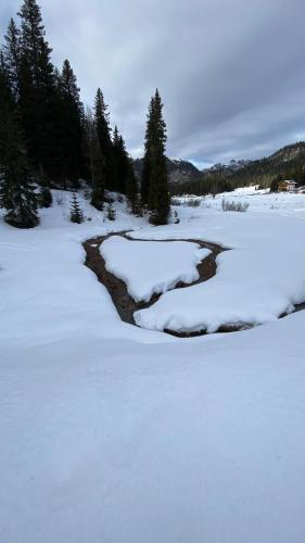 a river in a field covered in snow at Il Cadorino in Valle di Cadore