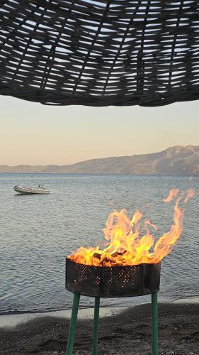 Φυσικό τοπίο κοντά σε αυτό το δωμάτιο σε οικογενειακή κατοικία