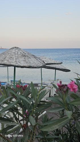 Φυσικό τοπίο κοντά σε αυτό το δωμάτιο σε οικογενειακή κατοικία