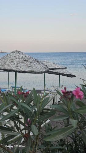 Φυσικό τοπίο κοντά σε αυτό το δωμάτιο σε οικογενειακή κατοικία