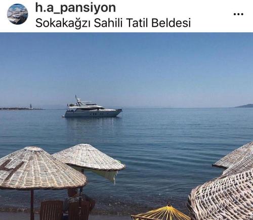 Φυσικό τοπίο κοντά σε αυτό το δωμάτιο σε οικογενειακή κατοικία
