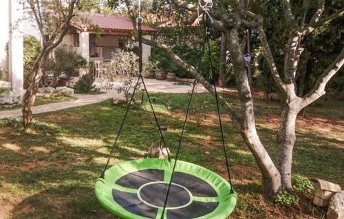 a green swing hanging from a tree in a yard at Ana in Premantura