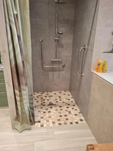 a bathroom with a shower with a shower curtain at Votre gîte au Domaine du Lynx in Baume-les-Messieurs