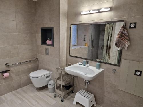 a bathroom with a sink and a toilet and a mirror at Votre gîte au Domaine du Lynx in Baume-les-Messieurs