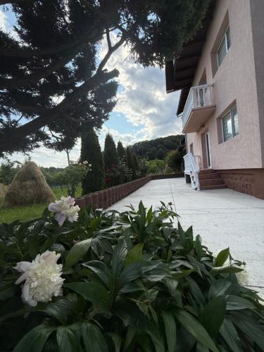Gallery image of Vila Teo in Bărăşti