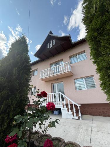Gallery image of Vila Teo in Bărăşti